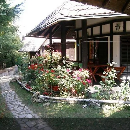 Alpska Guest house 3*